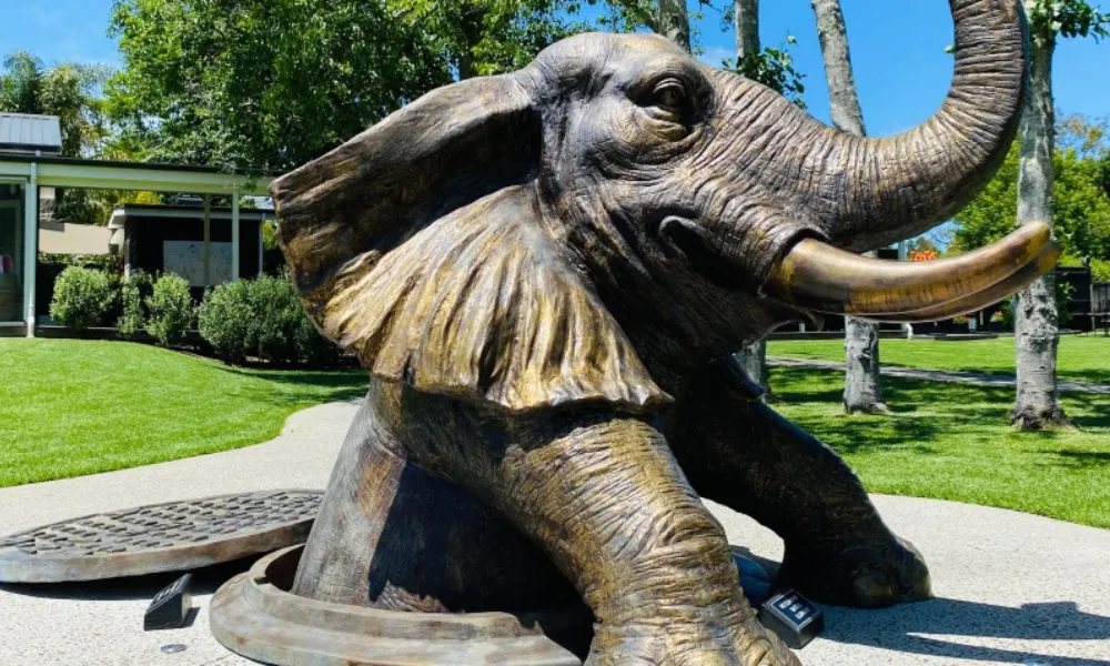 Sculptureum Experience Matakana | Everything New Zealand-3