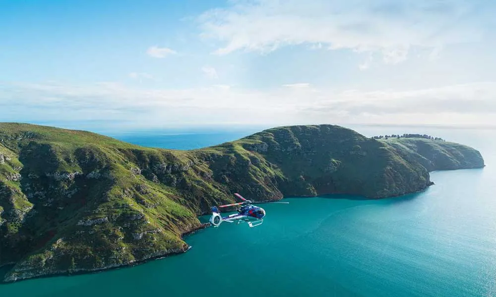Bay of Many Coves Heli Lunch Wellington | Everything New Zealand-1