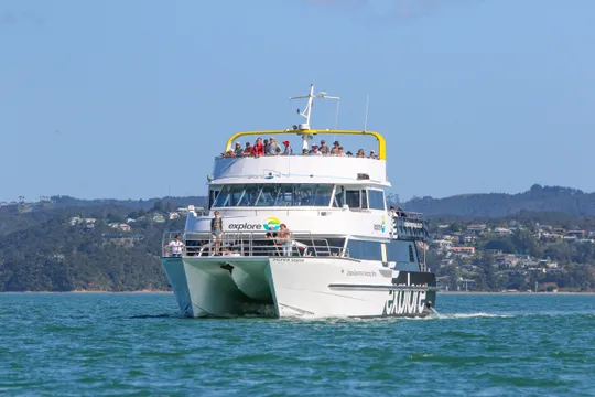 Dolphin Eco Cruise in Bay of Islands