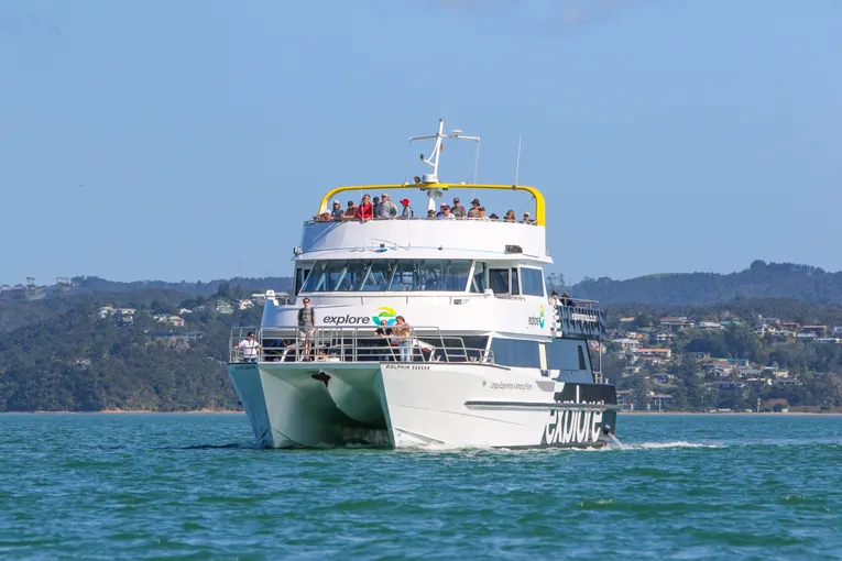 Dolphin Cruise Bay of Islands | Everything New Zealand