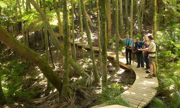 Full Day Eco Zip & Wine Tour Waiheke Island