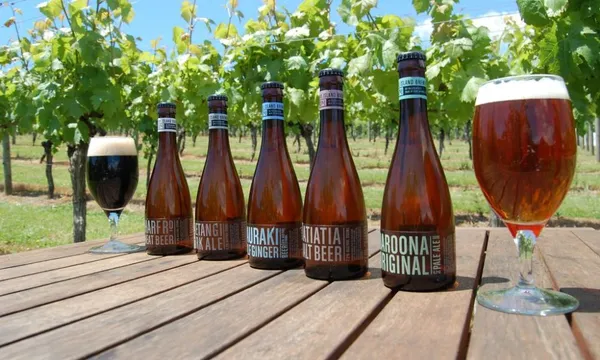 More Than a Wine Tour with Enjoi Wine Tours