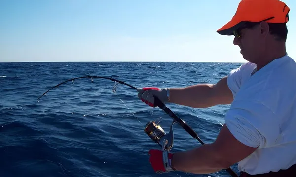 Waiheke Fishing Charter & Wine Tour with Enjoi Wine Tours
