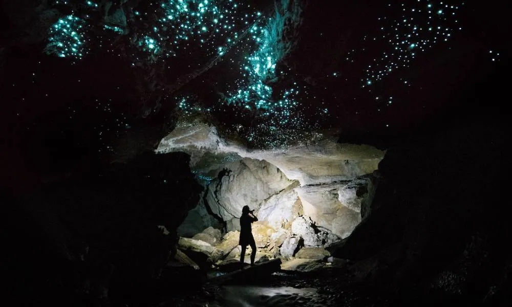 Waitomo Glowing Adventures Glow Worm Tour- Everything Travel -3