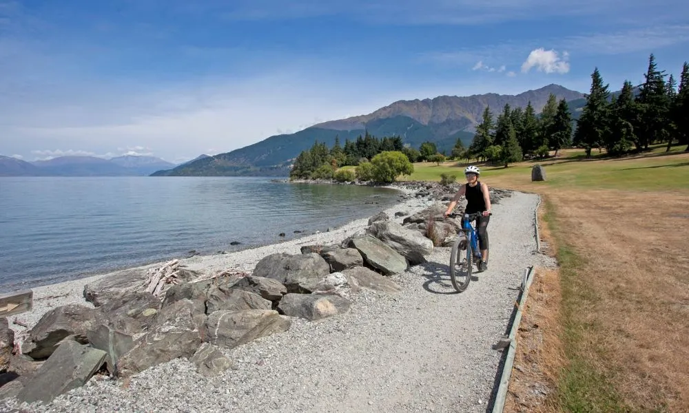 Self Guided Explorer Bike Experience - Going Blue | Everything New Zealand-3