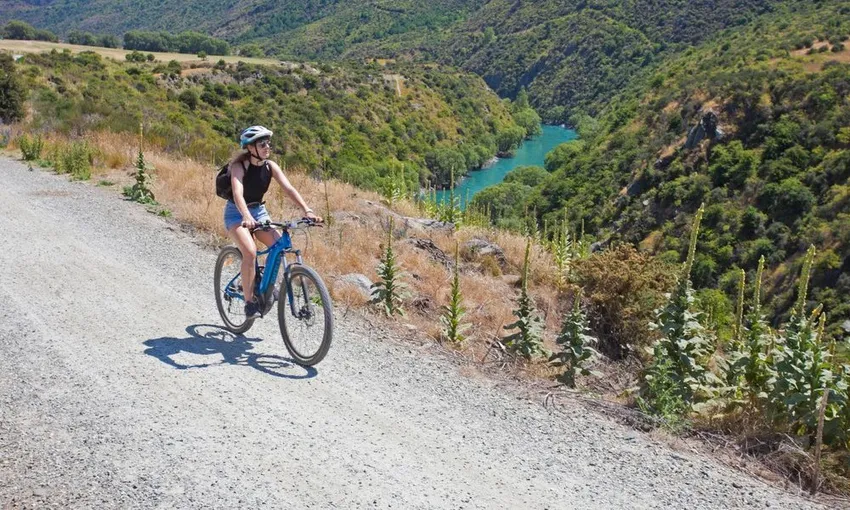 Bike Wine Tour Queenstown | Everything New Zealand