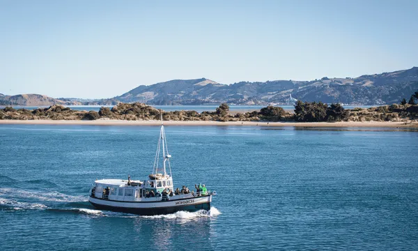 City to Sea Tour with Monarch Wildlife Cruises