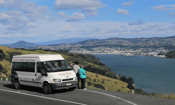 Small Group Peninsula Encounters Tour in Dunedin