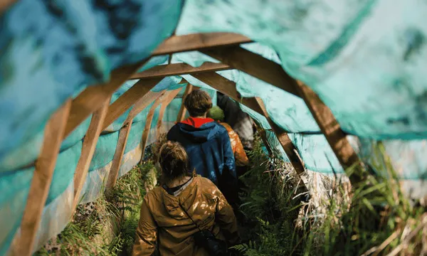 Small Group Peninsula Encounters Tour in Dunedin