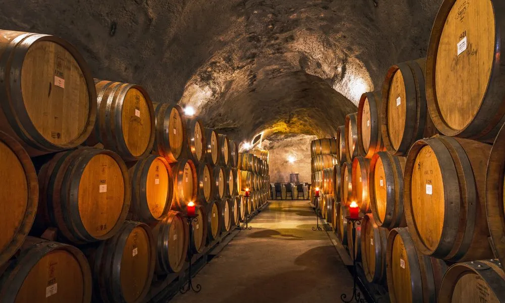 Wine Tours Queenstown | Queenstown Wine Trail - Everything New Zealand-9