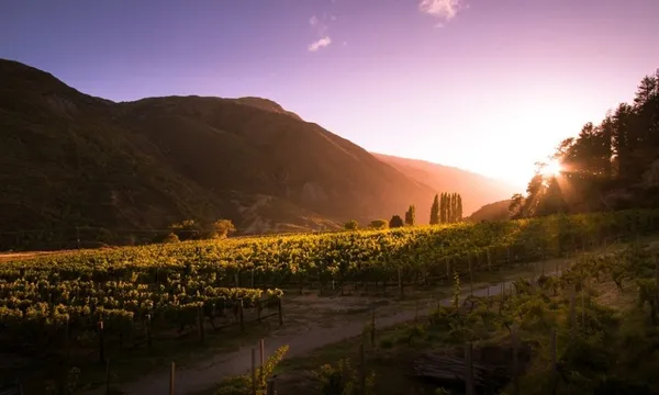 Gibbston Valley Wine Tasting & Lunch