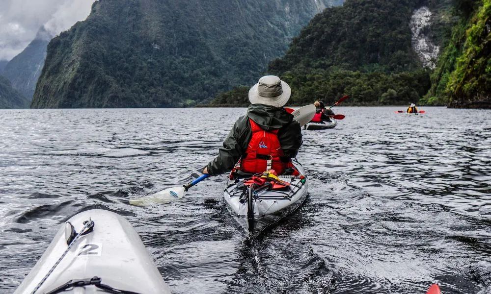 Doubtful Sound Kayak Tour | Everything New Zealand-1