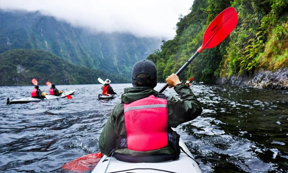 Doubtful Sound Kayak Tour | Everything New Zealand-2
