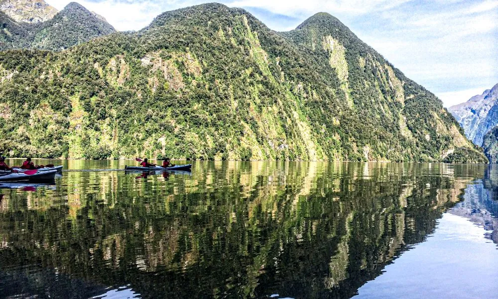 Doubtful Sound Kayak Tour | Everything New Zealand-3