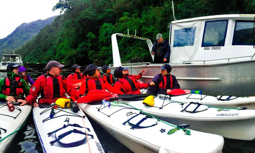 Doubtful Sound Kayak Tour | Everything New Zealand-4