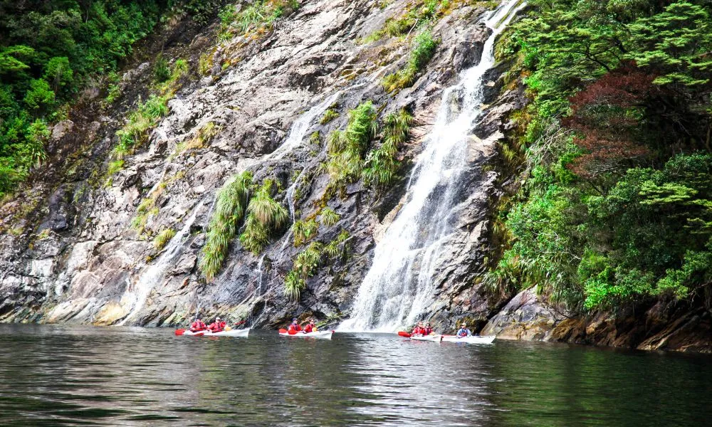 Doubtful Sound Kayak Tour | Everything New Zealand-5