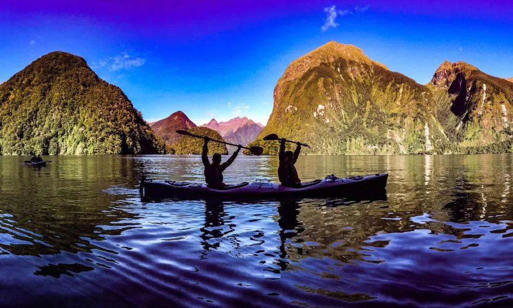Doubtful Sound Kayak Tour | Everything New Zealand-6