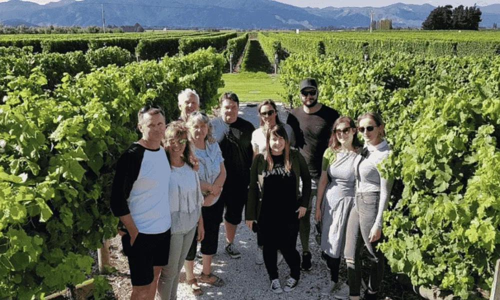Half Day Afternoon Wine Tour | Marlborough | Everything New Zealand-2