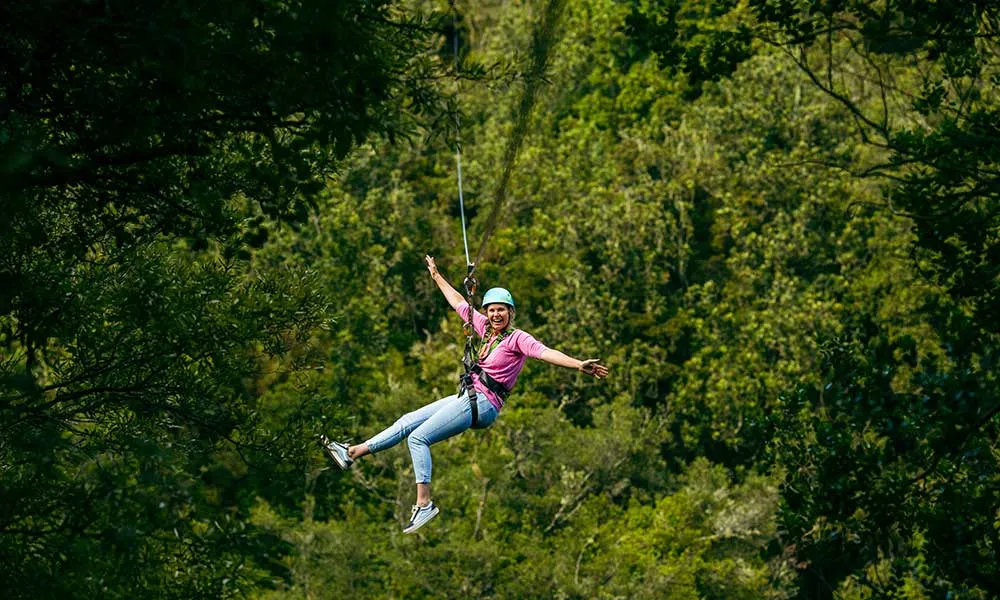 Rotorua Zipline Tour | Everything New Zealand-1