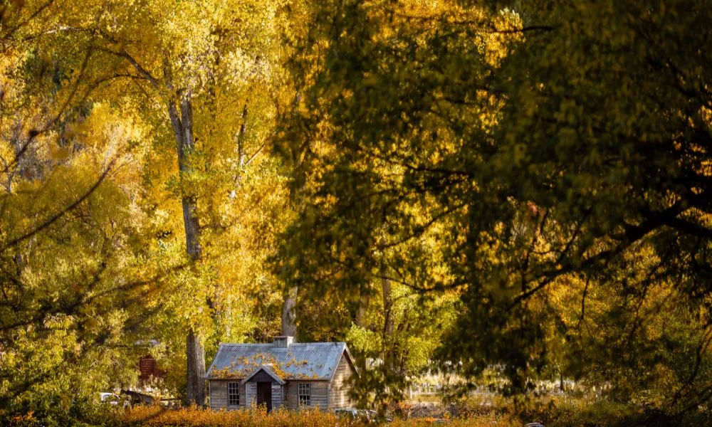 Best of Queenstown Tour | Everything New Zealand-3