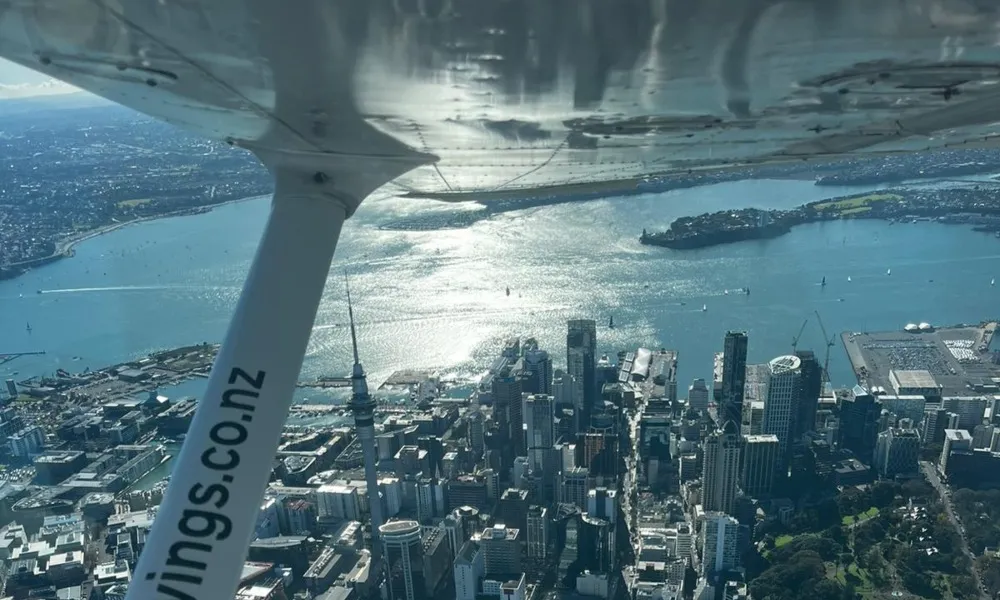 Hauraki Gulf Scenic Flight, Waiheke Island | Everything New Zealand-4