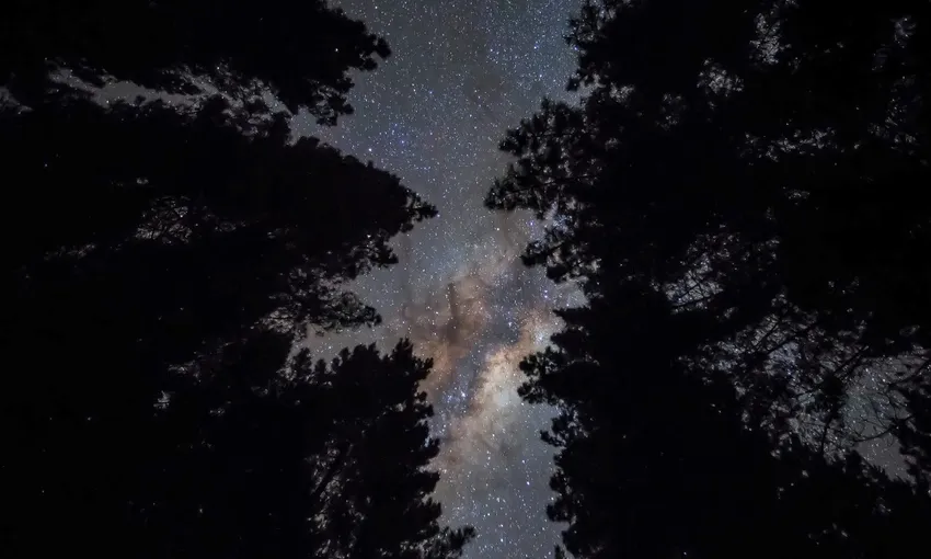 Starlight Kayak Tour Rotorua | Everything New Zealand