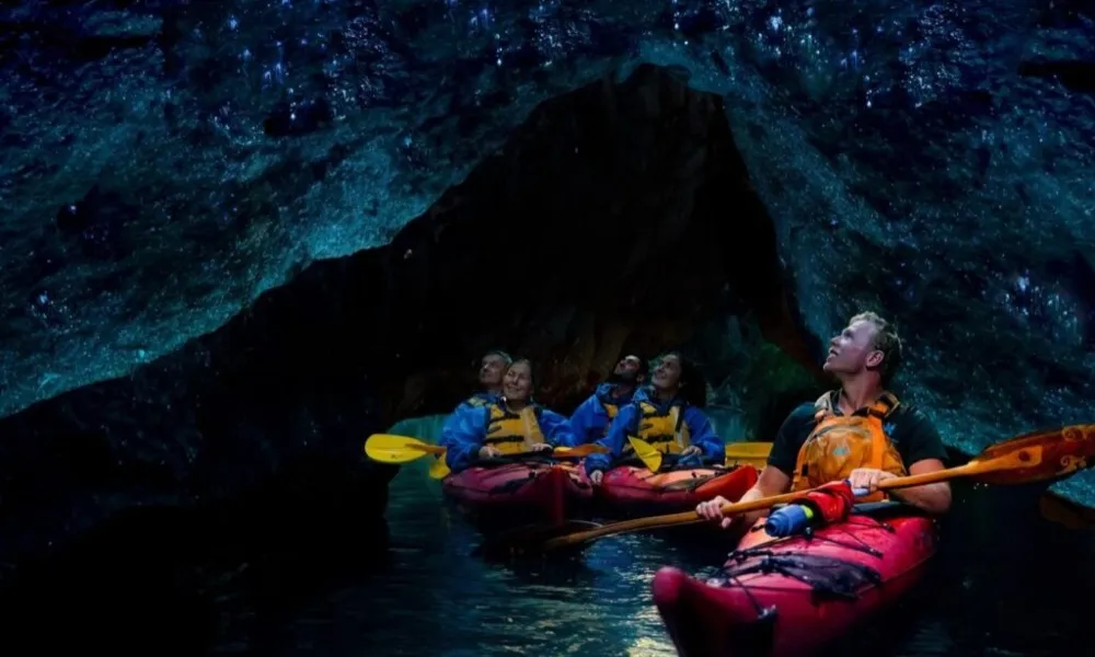 Starlight Kayak Tour Rotorua | Everything New Zealand-6