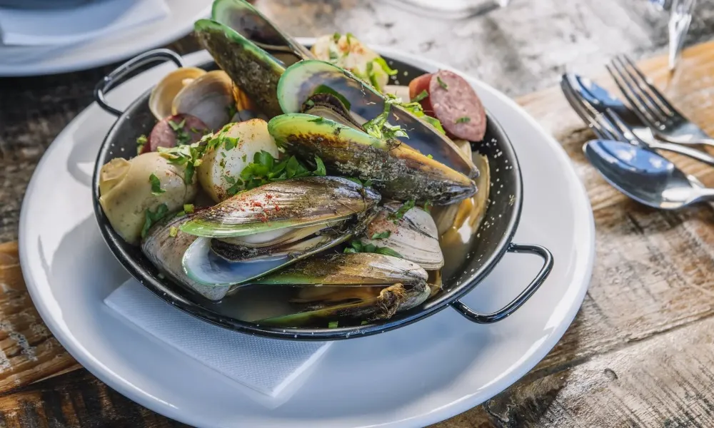 Cruise & Lunch Furneaux Lodge Picton | Everything New Zealand-4