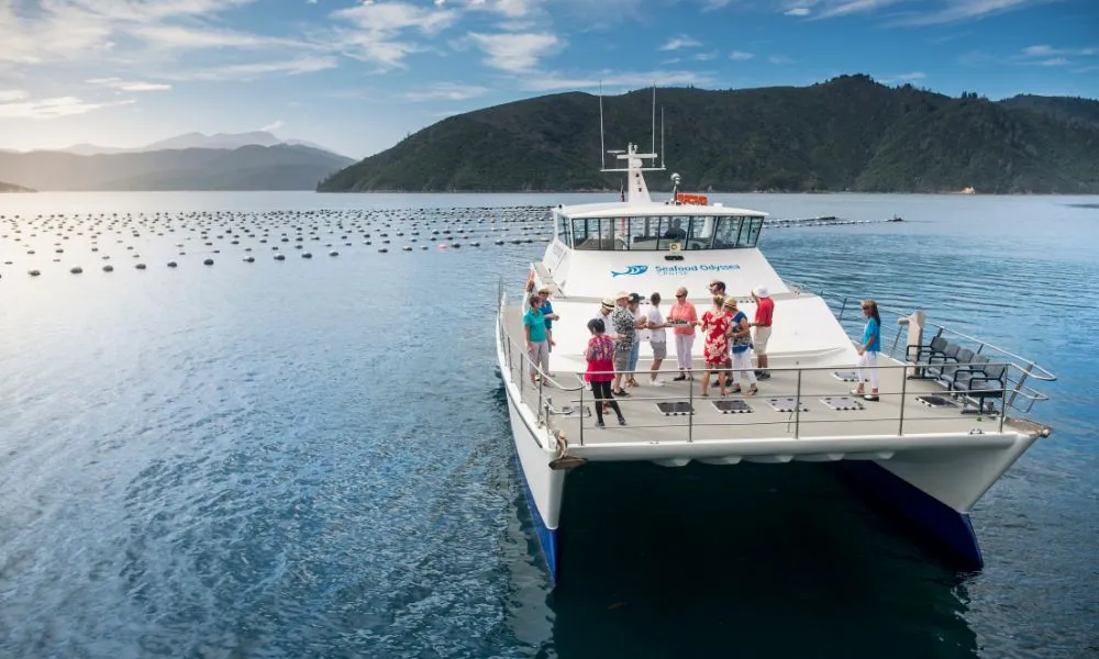 Seafood Odyssea Cruise Picton | Everything New Zealand-4