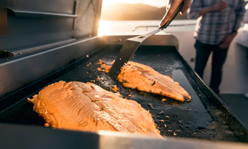 Seafood Odyssea Cruise Picton | Everything New Zealand-8