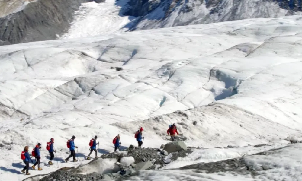 Heli Hike - Mt Cook Glacier Guiding | Everything New Zealand-3