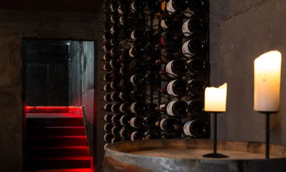 Private Stargazing Experience Mt Cook | Everything New Zealand-4