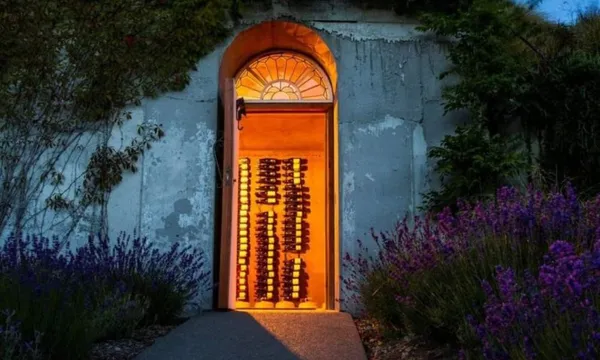 Pukaki Stargazing & Wine Cellar Observatory