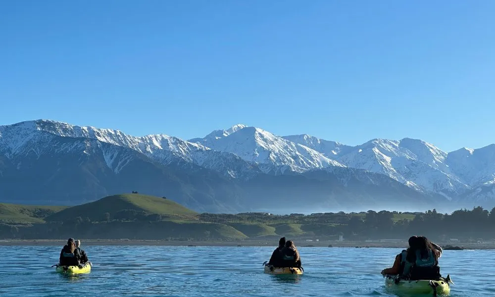Seal Kayak Kaikoura | Everything New Zealand-3