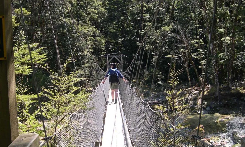 Half Day Tour - Guided Nature Walks, Queenstown | Everything New Zealand-2