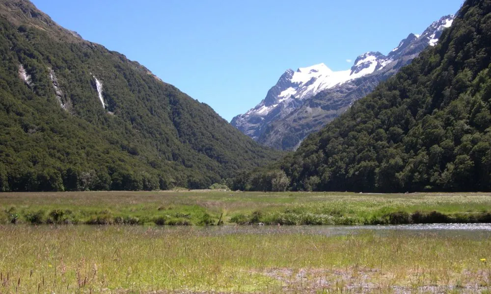 Half Day Tour - Guided Nature Walks, Queenstown | Everything New Zealand-3