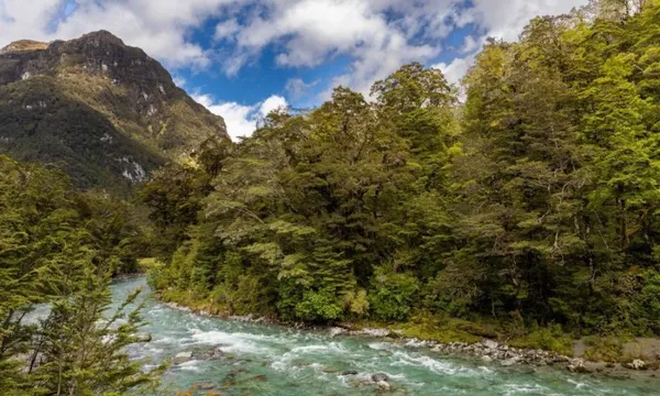 Half Day Routeburn Guided Walk