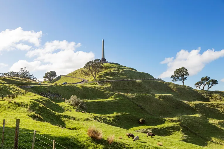 Discover Auckland City Tour | Everything New Zealand