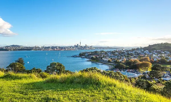 Half Day Auckland City Discovery Tour