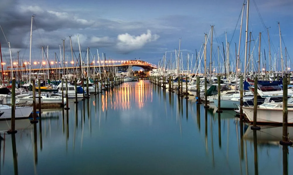 Discover Auckland City Tour | Everything New Zealand-6