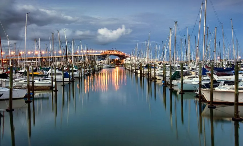 Discover Auckland City Tour | Everything New Zealand