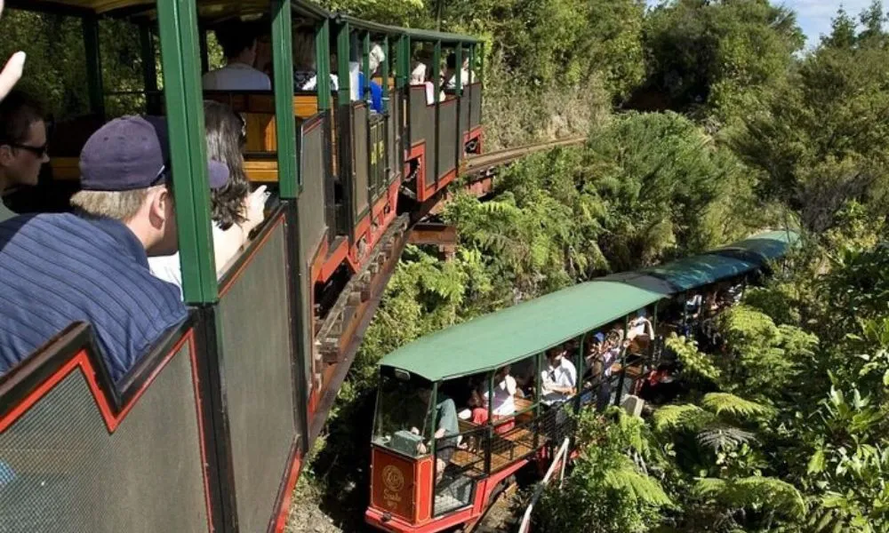 Coromandel Day Trip from Auckland with Scenic Railway | Everything New Zealand-2