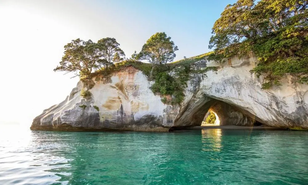 Coromandel Day Trip from Auckland with Scenic Railway | Everything New Zealand-3