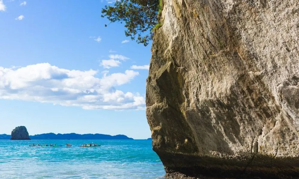 Coromandel Day Trip from Auckland with Scenic Railway | Everything New Zealand-5