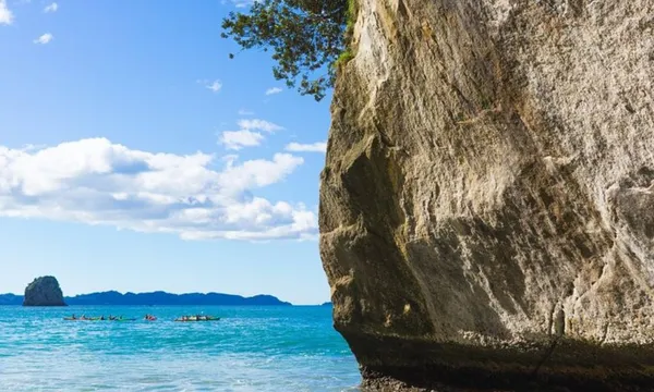 Coromandel Day Tour & Driving Creek Railway
