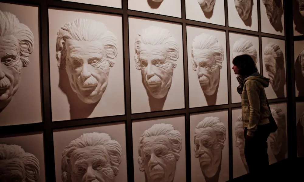 Puzzling World, Wanaka - Everything New Zealand-3