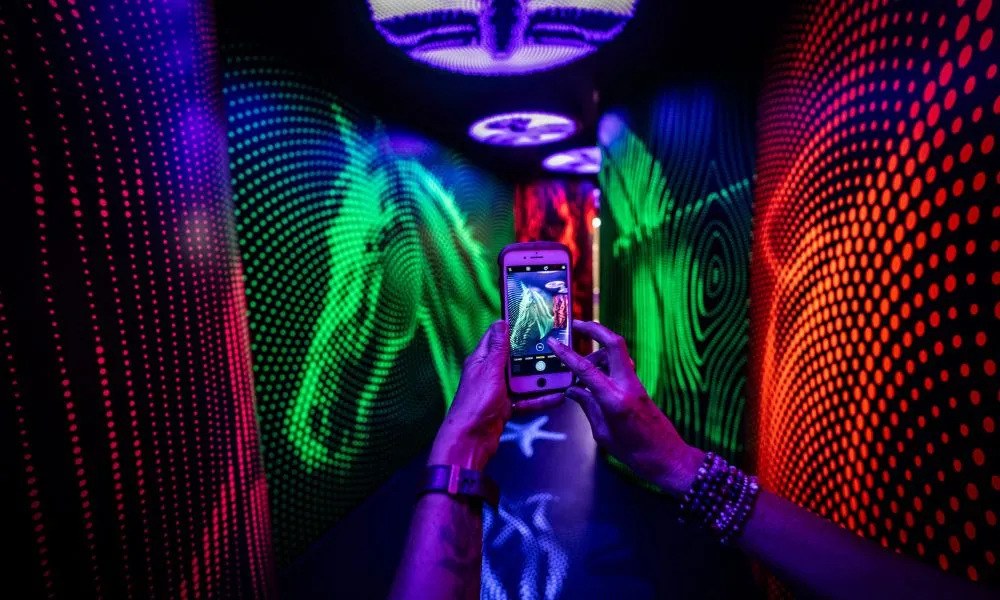 Puzzling World, Wanaka - Everything New Zealand-4