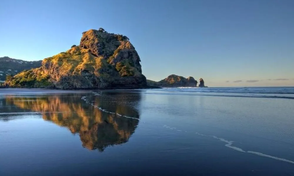 West Coast & Piha Day Trip from Auckland | Everything New Zealand-2