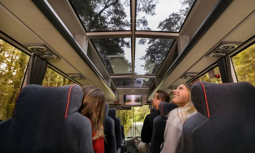 Milford Coach Cruise & Flight  | Glenorchy Air | Everything New Zealand-4