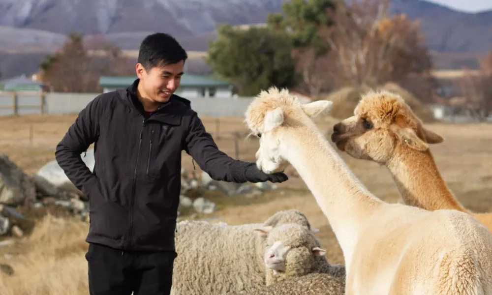 Lake Tekapo Farm Tour | Everything New Zealand-1